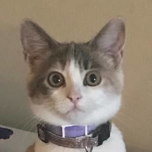 Meet your Posher, Lynn